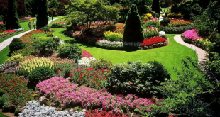 taman landscape