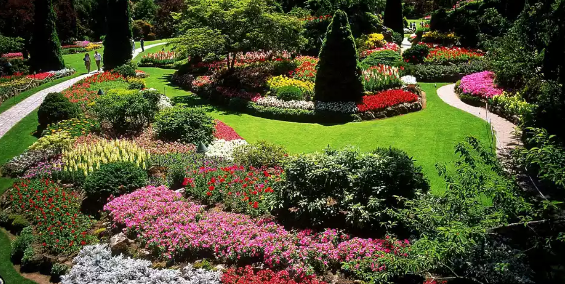 taman landscape