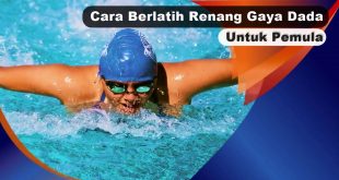 Cara Berlatih Renang Gaya Dada Untuk Pemula-2