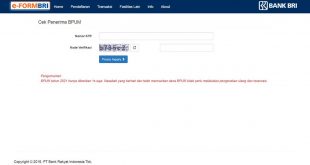 Cek BLT UMKM 1.2 Juta Lewat E-Form BRI co id UMKM 2021 tahap 3