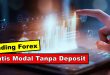 Trading Forex Gratis Tanpa Deposit Untuk Pemula