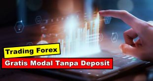 Trading Forex Gratis Tanpa Deposit Untuk Pemula