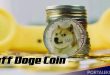 Buff Doge Coin, Token Yang Viral Apresiasi 5000% Sehari