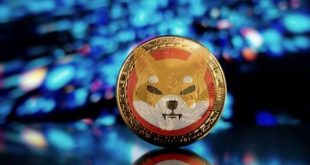 Harga Coin Shiba Ini Melambung, Harganya Tembus Rekor