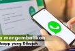 cara mengembalikan whatsapp kena hack