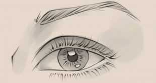 Cara Menggambar Mata yang Keren Untuk Pemula