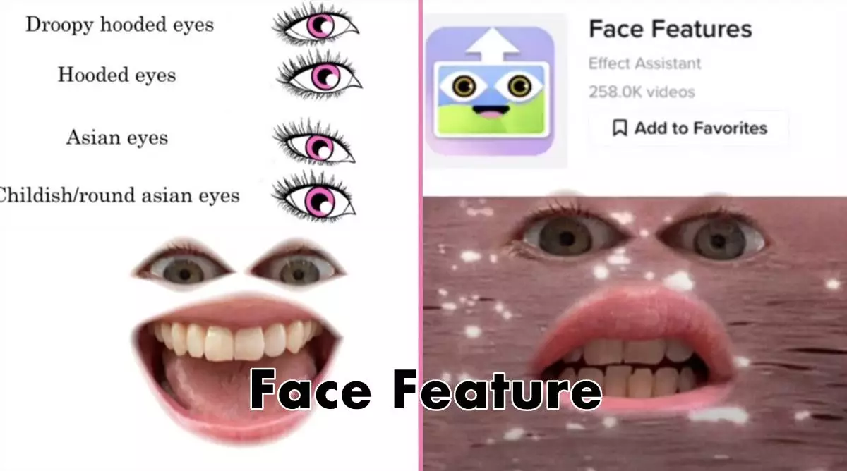Face Feature