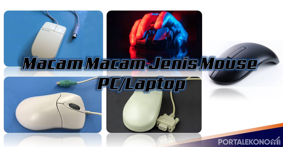 Macam Macam Jenis Mouse Berdasarkan Jenisnya Dari Tahun Ke Tahun