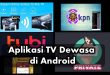 5 Aplikasi TV Dewasa di Android (18+) Gratis