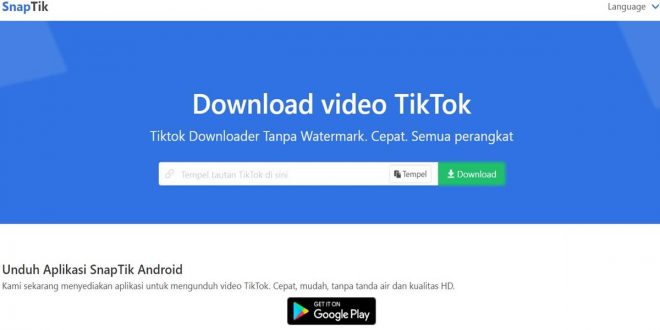 SaveFrom Tiktok Snaptik, Download Video Tiktok Tanpa Watermark