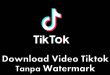 Musicallydown.com Tiktok Download Video Tiktok NO Watermark