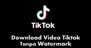 Musicallydown.com Tiktok Download Video Tiktok NO Watermark