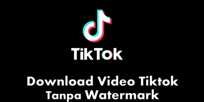 Musicallydown.com Tiktok Download Video Tiktok NO Watermark