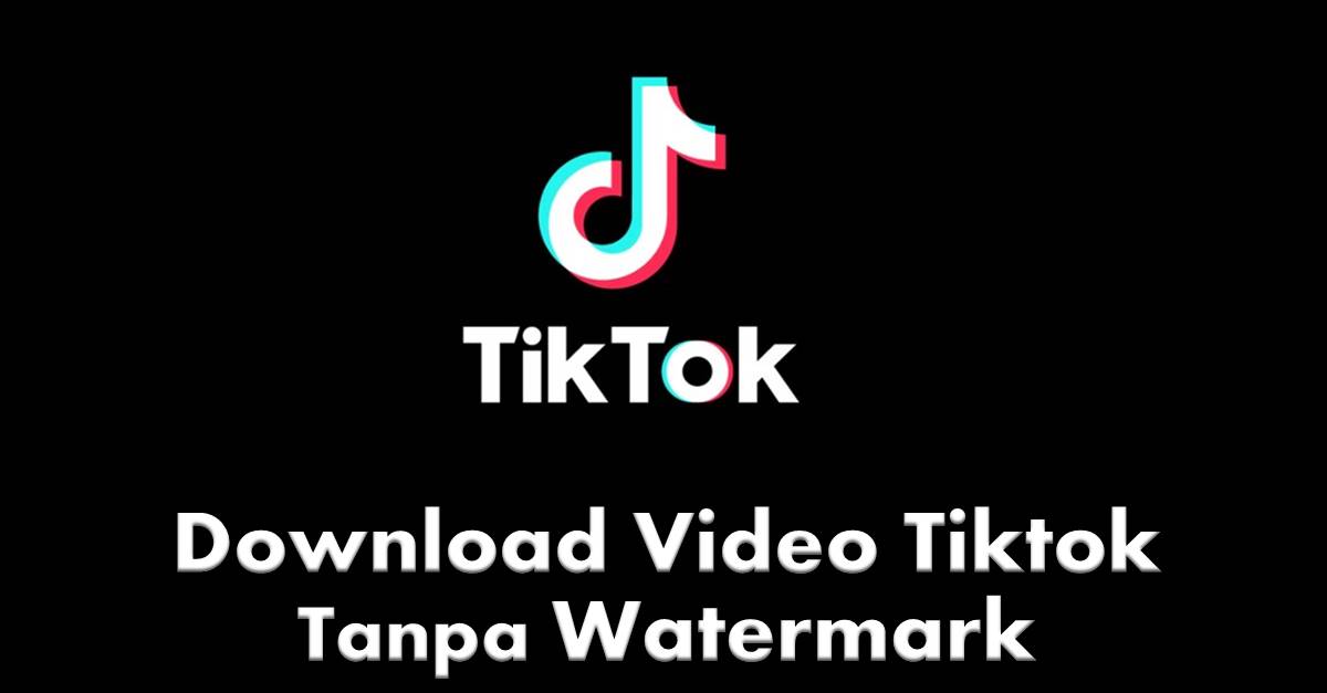Musicallydown.com Tiktok Download Video Tiktok NO Watermark