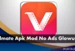 Vidmate Apk Mod No Ads Glowup.id