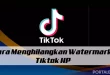 Cara Menghilangkan Watermark Tiktok Online Tanpa Aplikasi