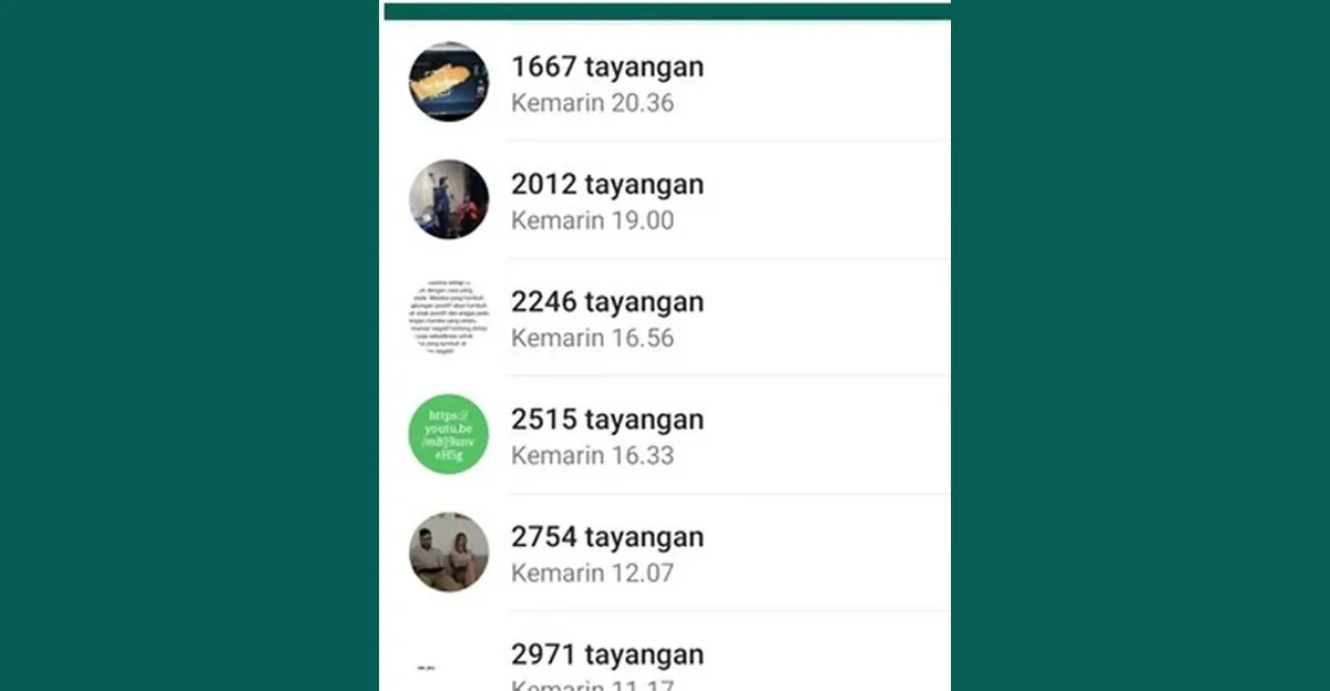 Status WA Dilihat Banyak Orang Meski Kontak WA Sedikit