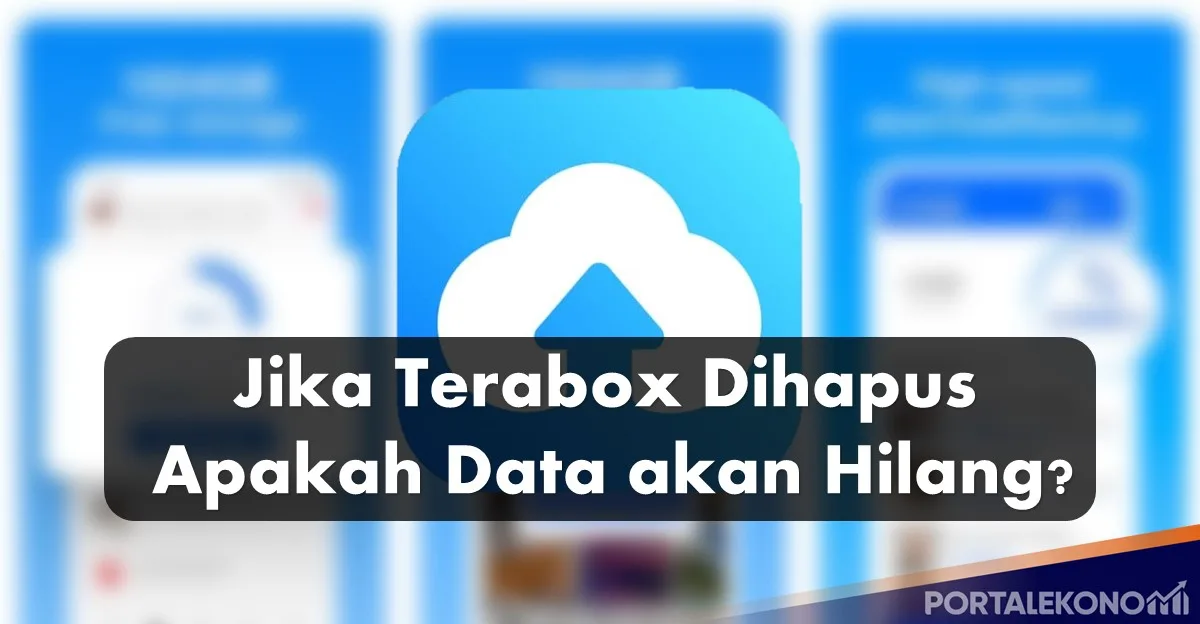 Terabox Dihapus, Data Hilang Simak Penjelasannya!